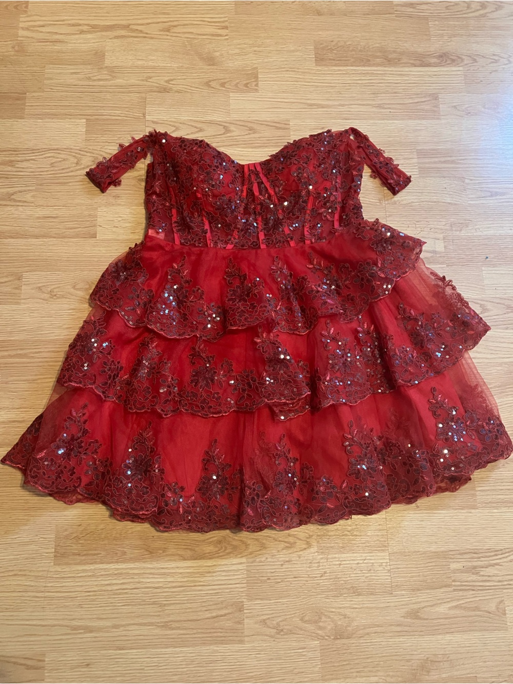 Red Embellished Lace Bustier Top